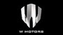 W Motors Cars