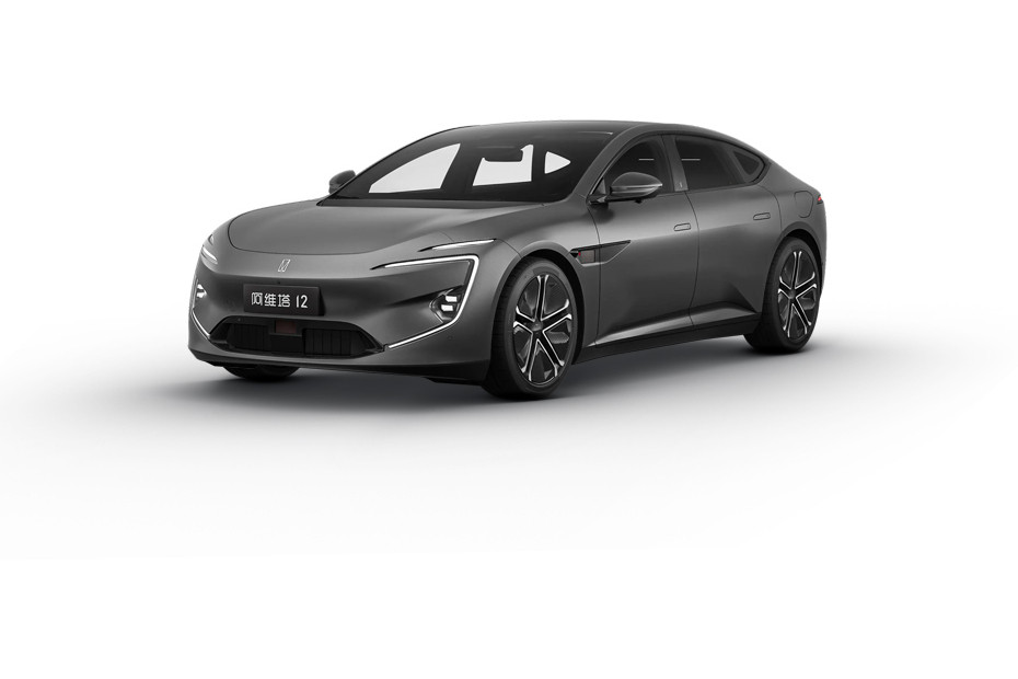 AVATR 12 Mazeppa Grey