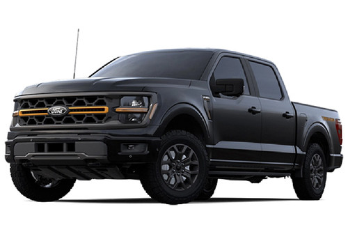 Ford F-150 Tremor Agate Black