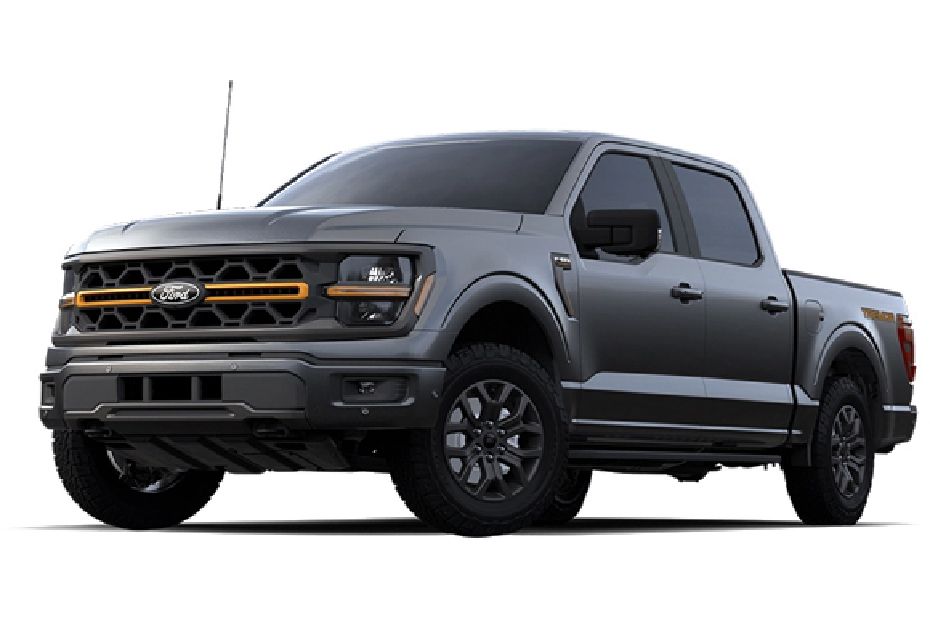 Ford F-150 Gray Metallic