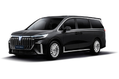 Voyah Dream Black