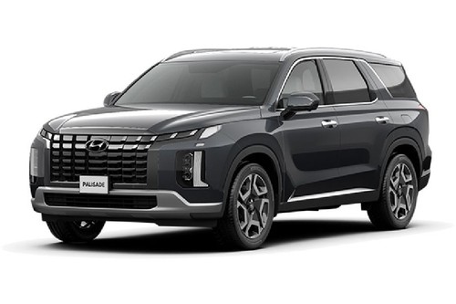 Hyundai Palisade (2022-2024) Grey Metallic