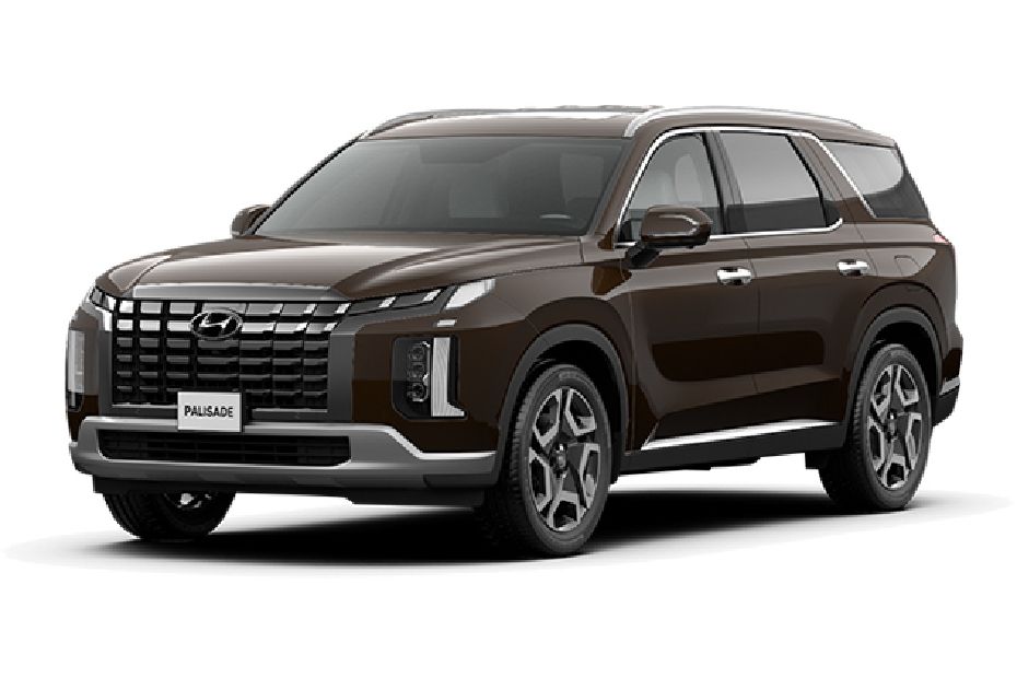 Hyundai Palisade (2022-2024) Brownish Grey