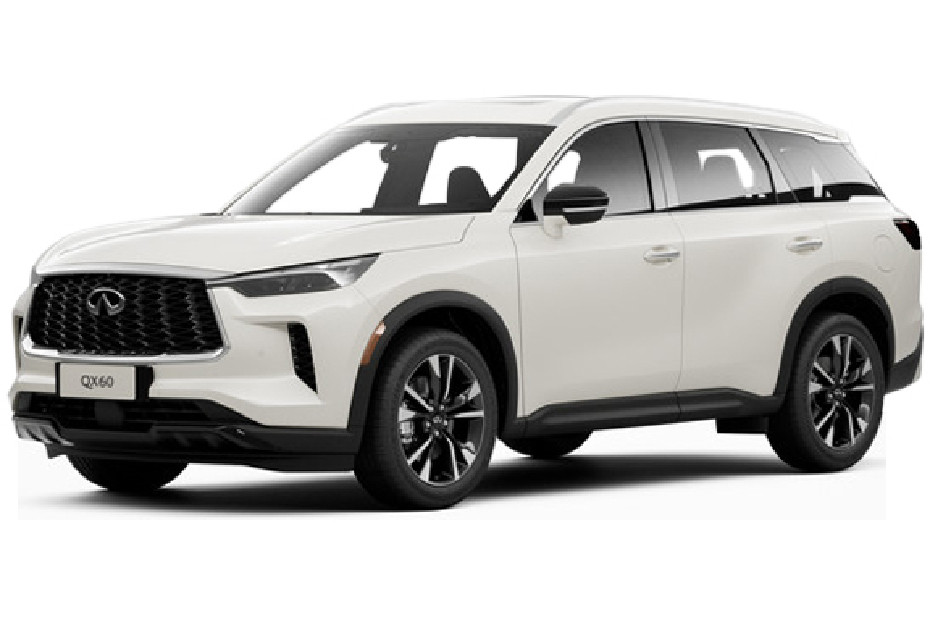 Infiniti QX60 (2024-2025) Majestic White