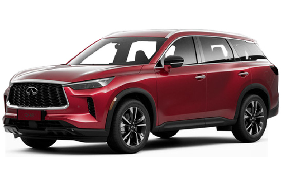 Infiniti QX60 (2024-2025) Deep Bordeaux