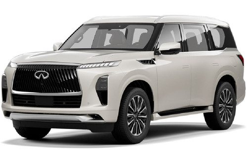 Infiniti QX80 Rediant White