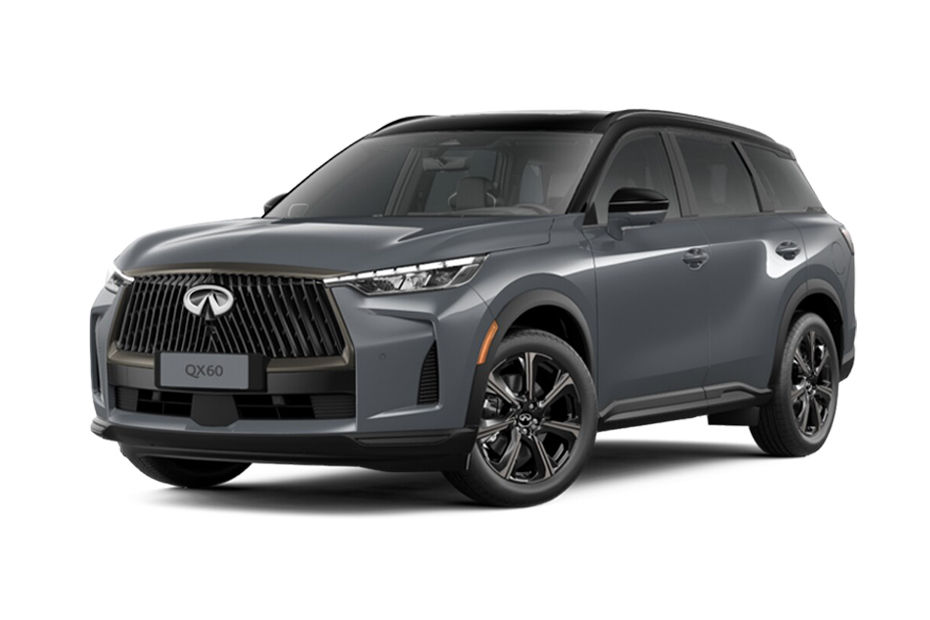 Infiniti QX60 Black Obsidian / Harbor Gray
