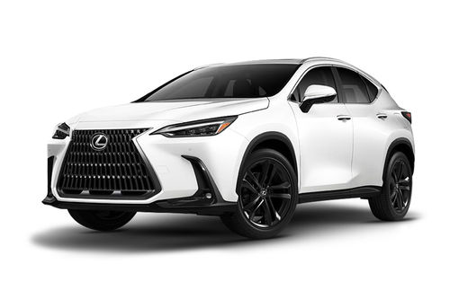 Lexus NX Hybrid White Nova