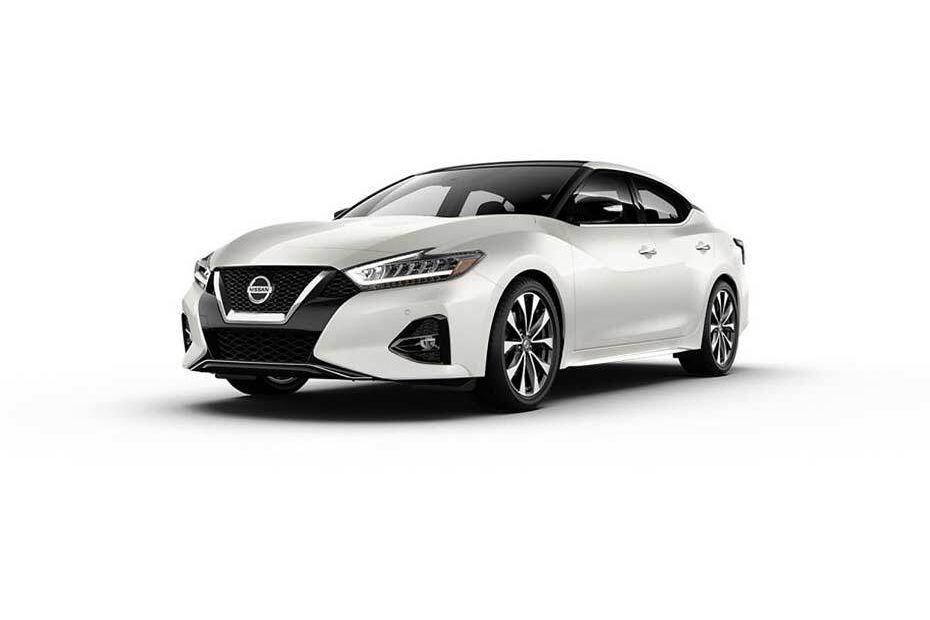 Nissan Maxima Pearl White