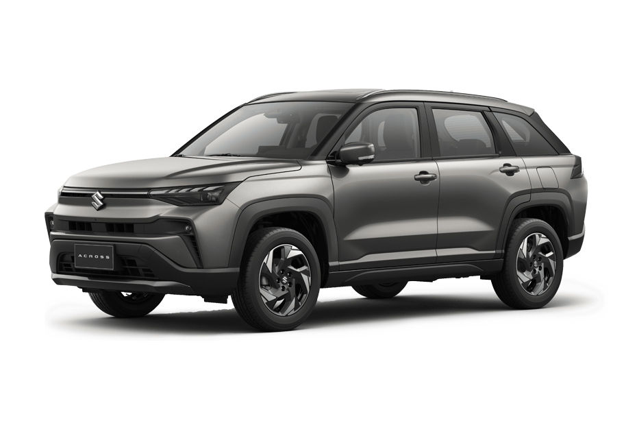 Suzuki Across Magma Gray