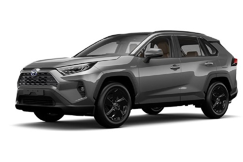 Toyota RAV 4 HEV 2024-2025 Gray Metallic