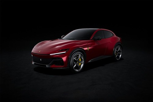 Purosangue Front angle low view