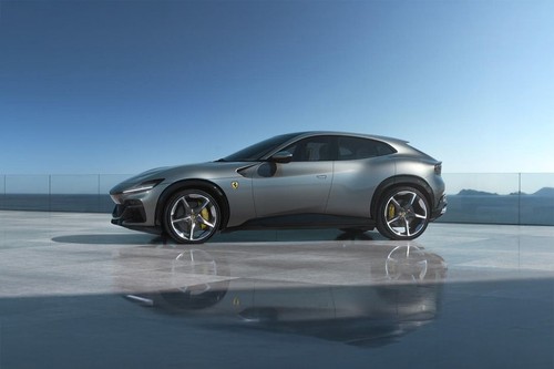 Purosangue Side view