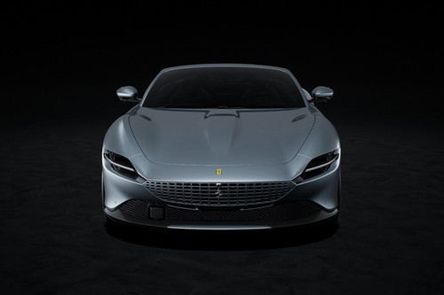 Full Front View of Roma Spider