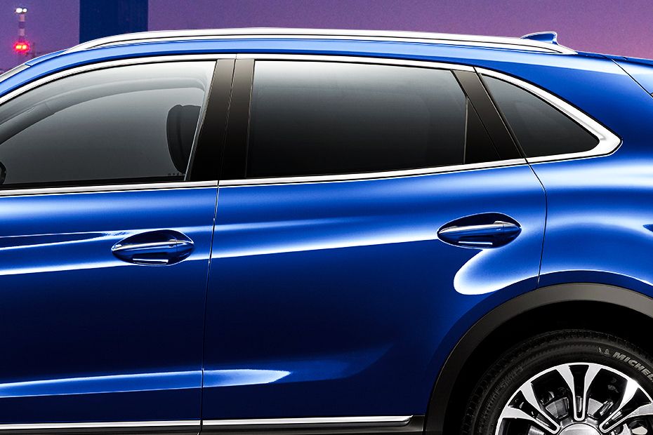 HS5 (2022-2024) Door handle