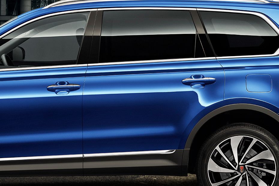 HS7 (2023-2024) Door handle