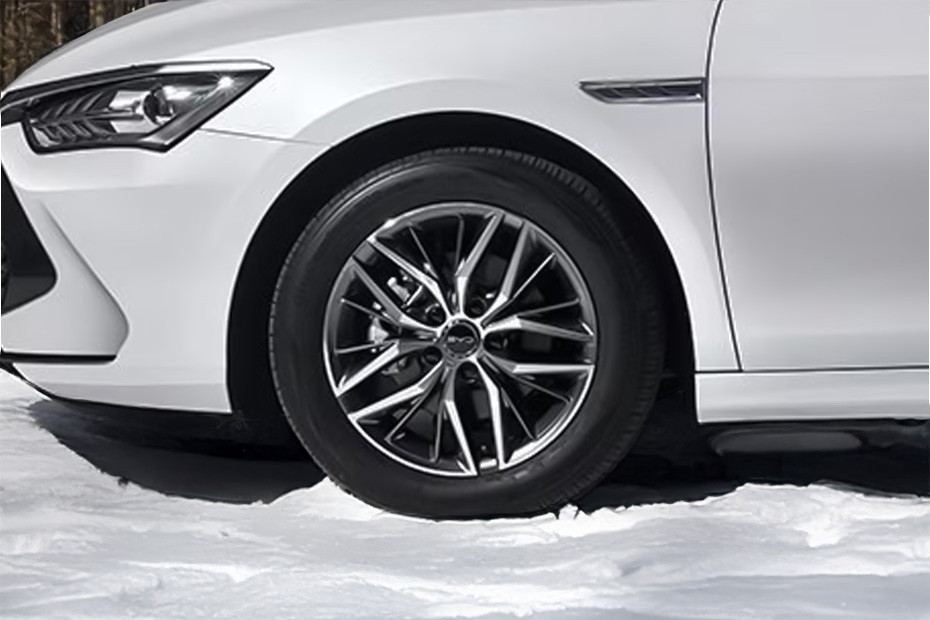 Qin Plus Wheel