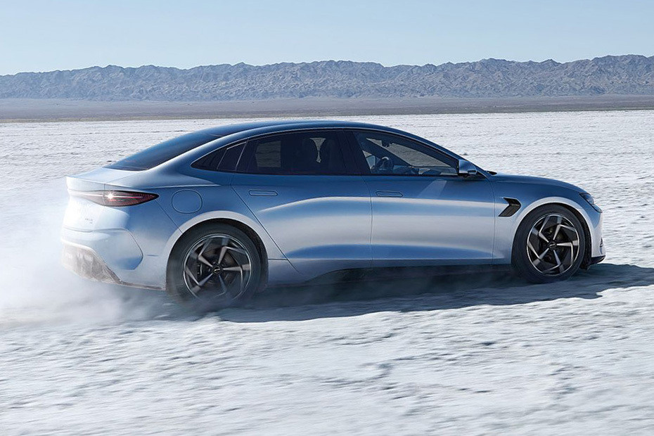 Seal Rear Medium Side View