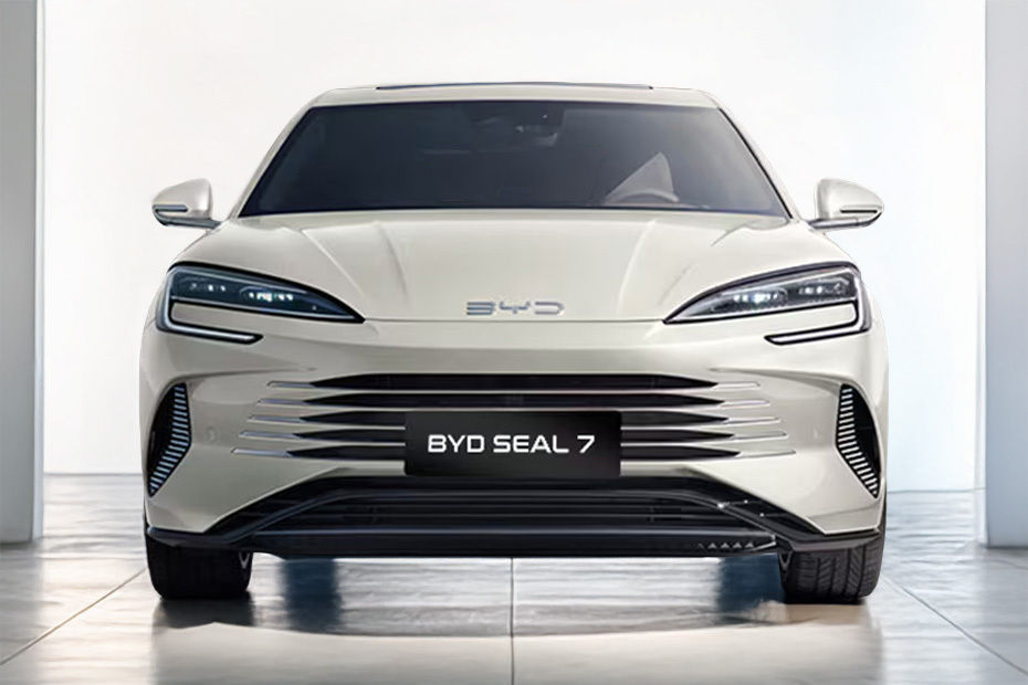 Full Front View of Seal 7