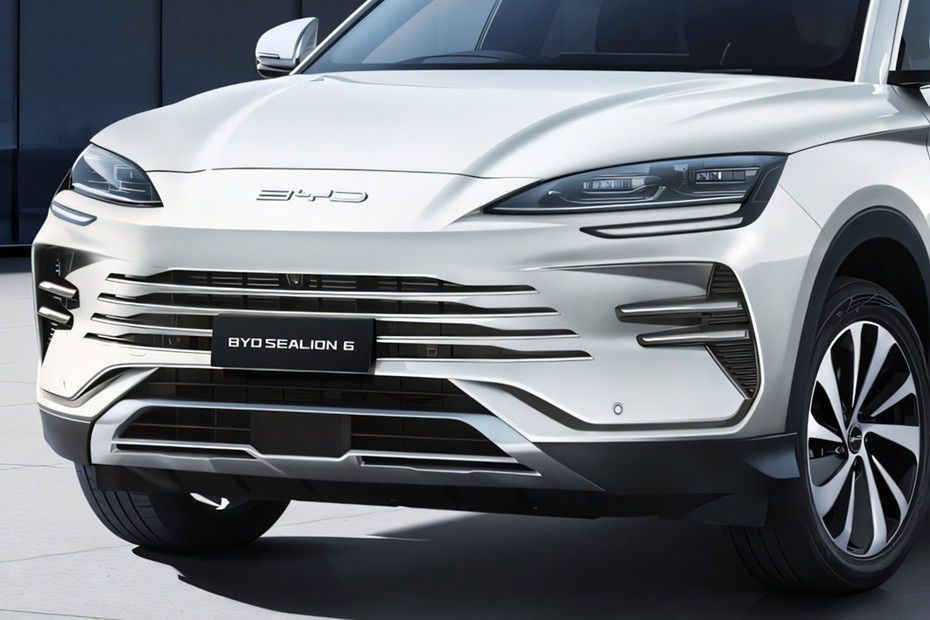 Sealion 6 Grille View