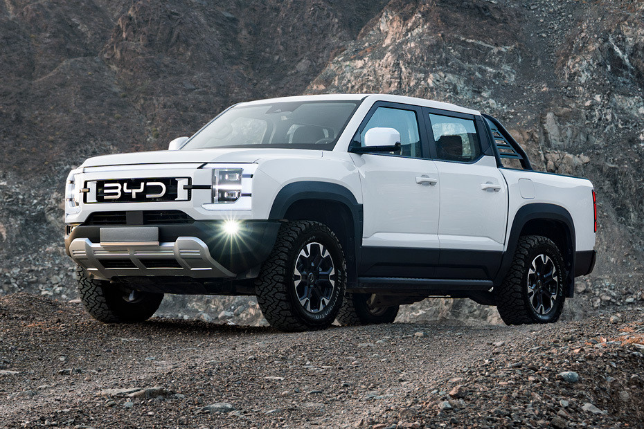 Shark 6 Front angle low view