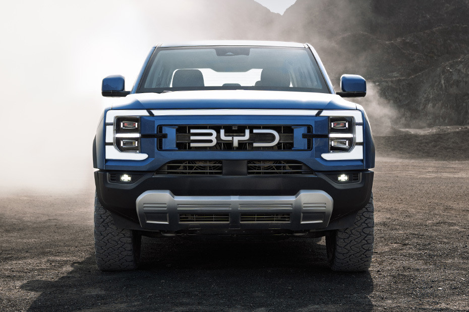 Full Front View of Shark 6