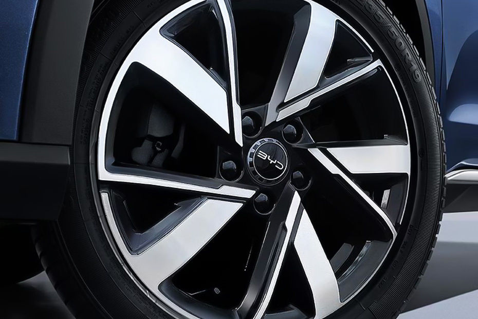 Sealion 5 Wheel