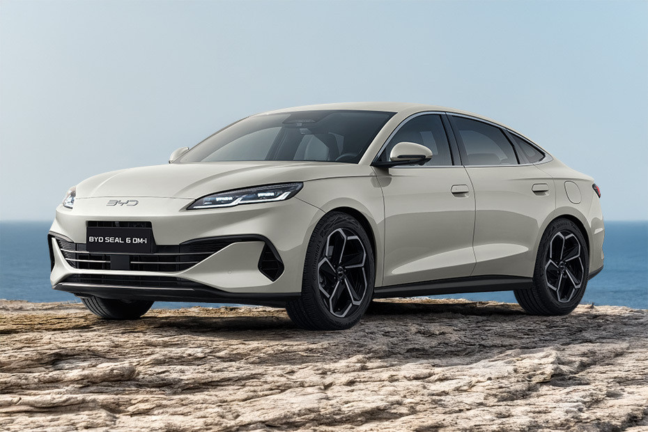 Seal 6 Front angle low view