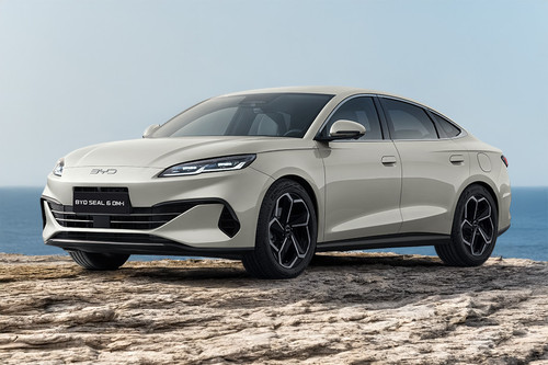 Seal 6 Front angle low view