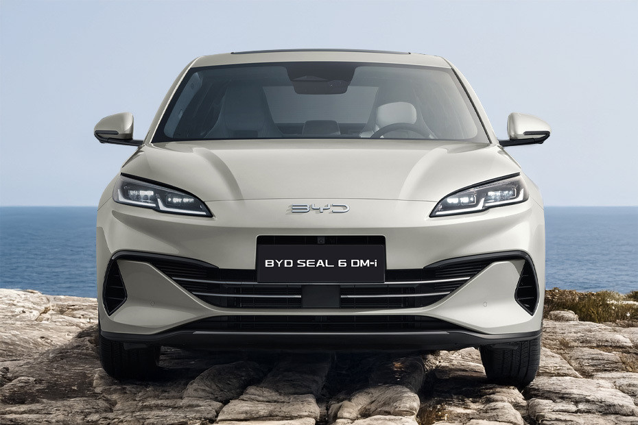 Full Front View of Seal 6