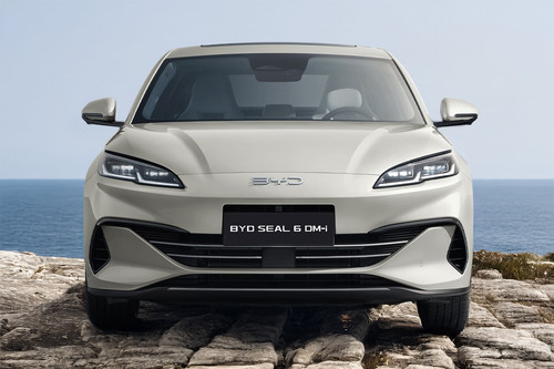 Full Front View of Seal 6