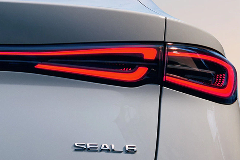 Seal 6 Tail light