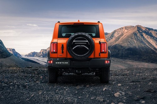 Full Rear View of Tank 300