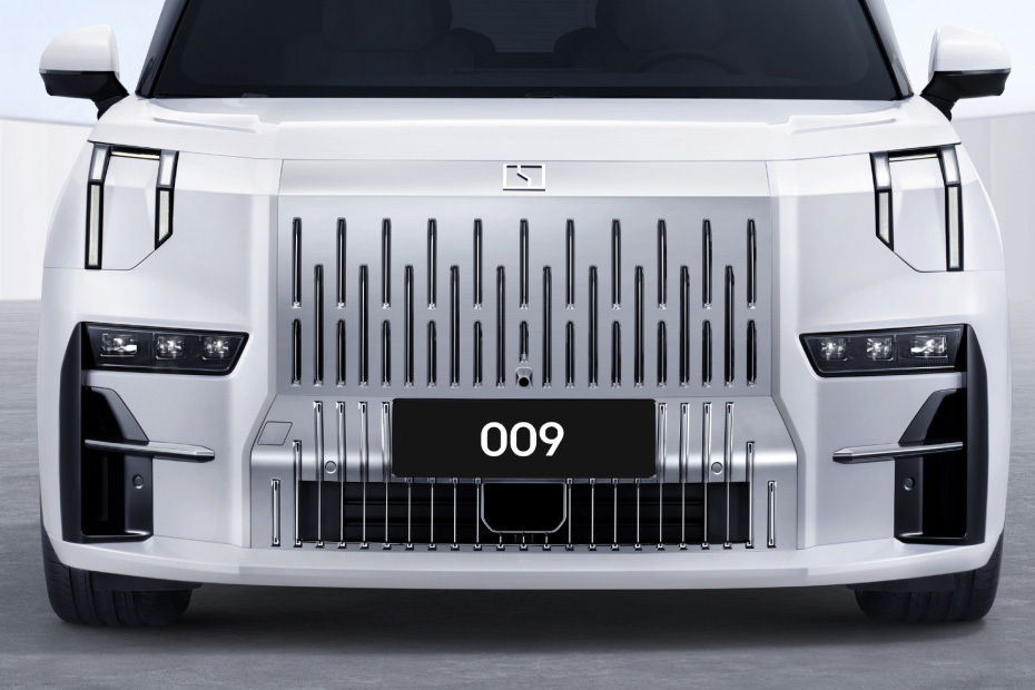 009 Grille View