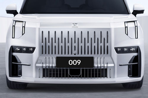 009 Grille View