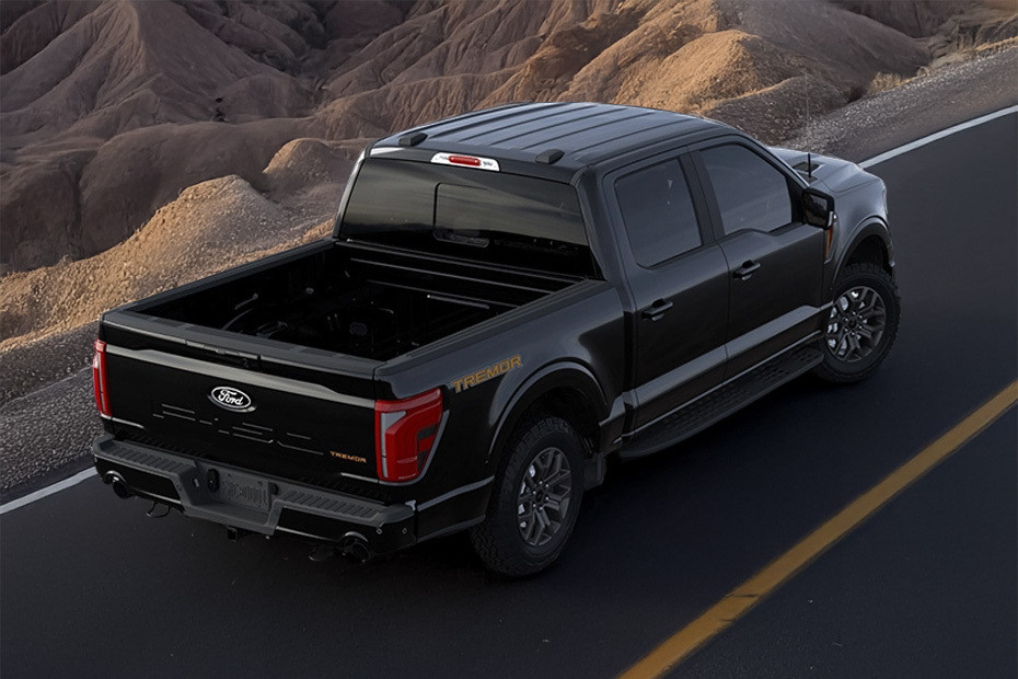 F-150 Tremor Rear angle view