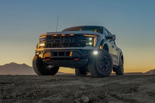 F-150 Front Fog Lamp