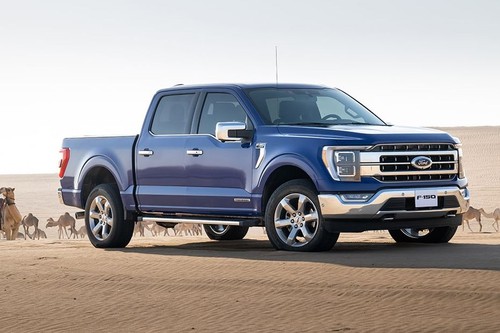 F-150 (2022-2023) Front deep low Angle View