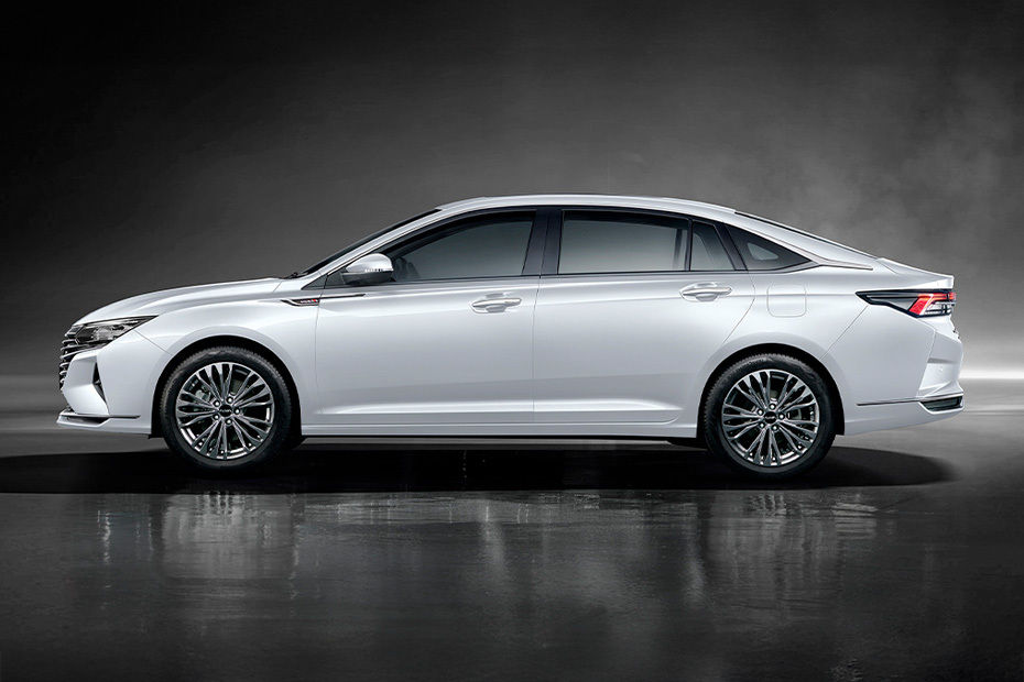 Shine Max Side view