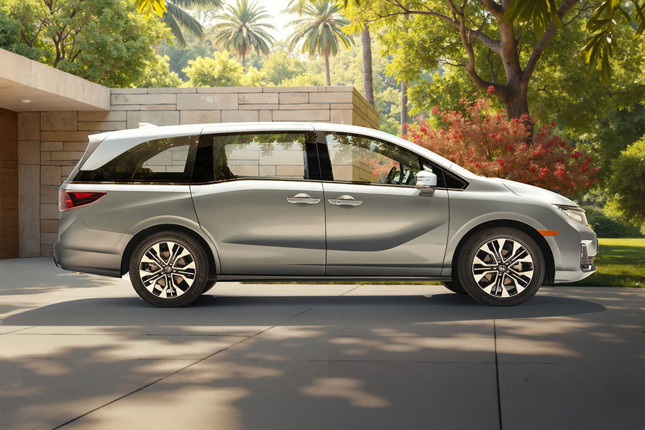 Odyssey Medium Angle Front View
