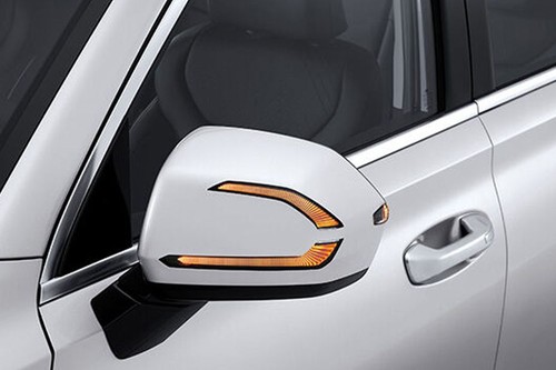Hyundai Palisade (2022-2024) Drivers Side Mirror Front Angle