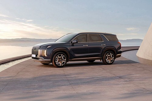 Rear Cross View of Hyundai Palisade (2022-2024)