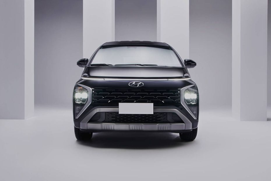 Full Front View of Stargazer	