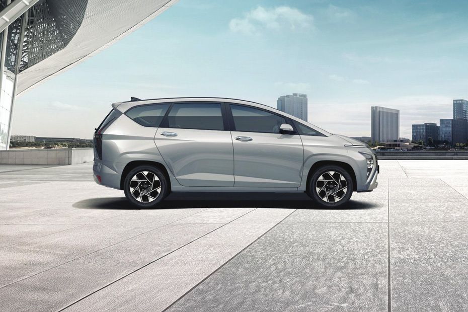 Stargazer	 Medium Angle Front View