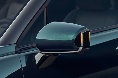 Palisade Door handle
