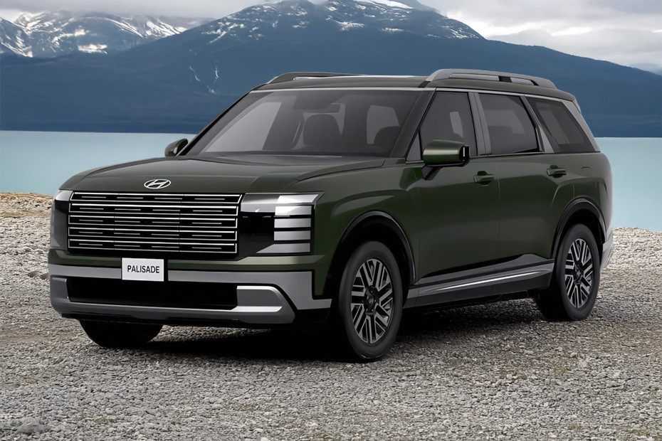 Palisade Front angle low view