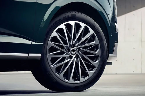 Palisade Wheel