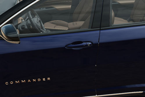 Commander Door handle