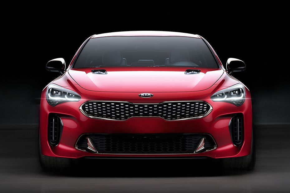 Full Front View of Stinger