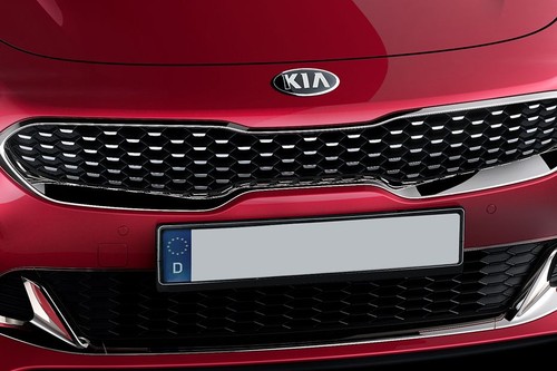 Stinger Grille View